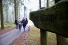 Spaziergang 2013 an den Externsteinen mit Geschwistern (D-Wurf)